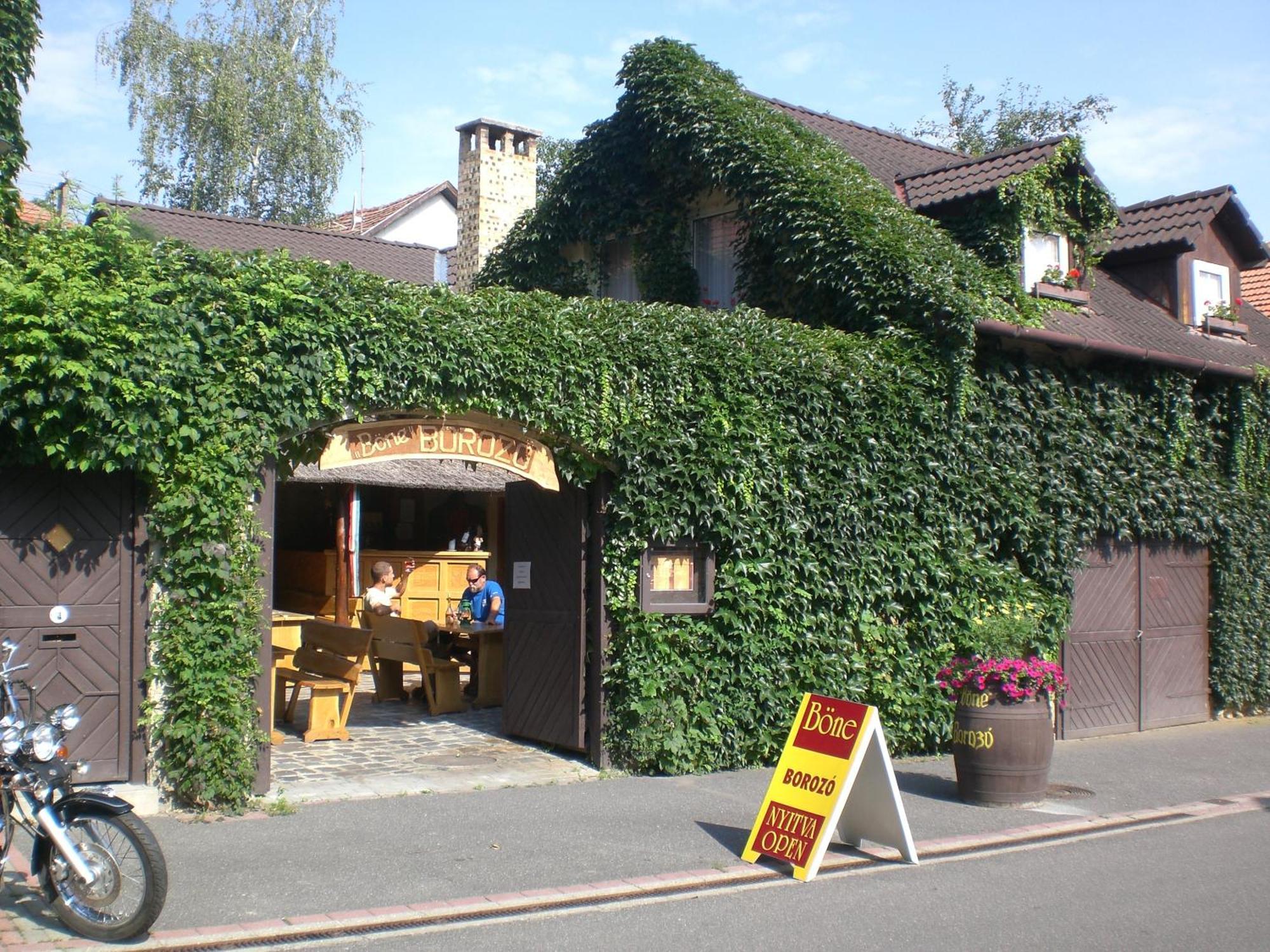 Böne Vendégház és Borozó Tokaj Extérieur photo